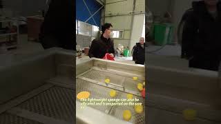 Test of exciting force of linear vibrating screen
