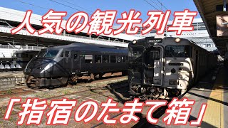 【人気の観光列車】 JR九州 指宿枕崎線 特急指宿のたまて箱1号@鹿児島中央～指宿 2020.11.14