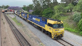 Pacific National NR5, NR54 \u0026 NR102 with 2BM4 at East Maitland - 29/10/24