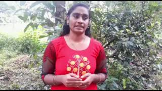 History Open Course-Heritage Studies Documentary - Ashtamichira Siva Temple- Gopika Suresh