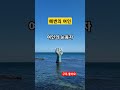 해변의 여인 이찬원 shorts