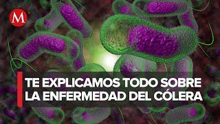 Se registran dos casos de cólera en México