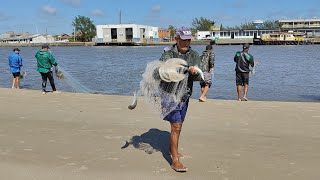 Pesca de tarrafas, Barra de Tramandaí, RS. Um arraso!#pescadetarrafa #pescadetainha #mullets #peixes