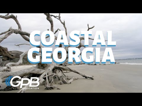 What are Georgia geographical features?