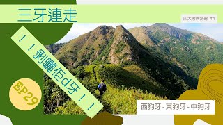 👣咪咁行◤EP29◢⛰️▶大嶼山行山◀⛰️😬三牙全走😬🎖️四大考牌路線🎖️石壁水塘⇒西狗牙⇒一線生機⇒東狗牙⇒中狗牙⇒一線生機⇒閻王壁⇒小鳥回頭⇒斬柴坳⇒昂坪