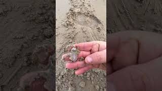 Tesoros encontrados con detector de metales - Detección metálica en playa