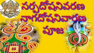 సర్ప దోష నివారణ నాగదోషనివారణ పూజ  Nagadosha nivaarana sarpa dosha nivarana