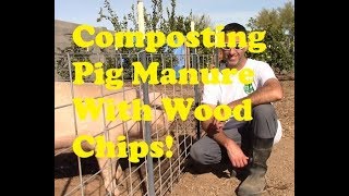 Composting Pig Manure With Woodchips