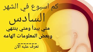 الشهر السادس من الحمل كم أسبوع | في اي اسبوع يبدا الشهر السادس ومتي ينتهي | معلومات عن الشهر السادس