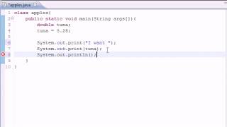 Part 5 : Java Programming Tutorial - Variables