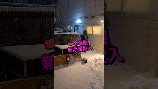 除雪の新兵器‼️