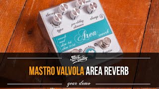 A wormhole in a box! Mastro Valvola Area Reverb!