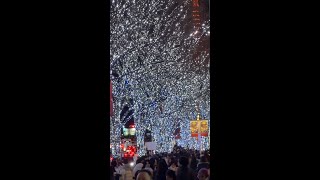 けやき坂イルミネーション六本木ヒルズクリスマスマーケット 12.25.24W 【切り出し動画】Keyakizaka Illumination Roppongi Hills Christmas