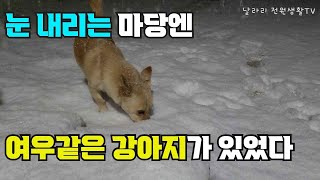 첫 눈 내리는 날의 전원주택풍경 l 양평 전원생활 전원주택