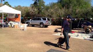 Lorenzo's Dog Training Team Demonstration