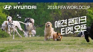 다양한 FIFA 월드컵, 다양한 즐거움 – 애견 팬파크