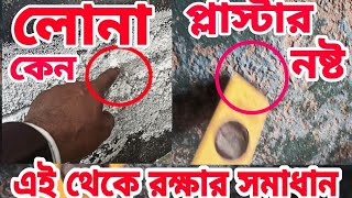 লোনা কেন ধরে দেয়ালে। রুমের রং সহ প্লাস্টার খসে পড়ে কেন। আর এই থেকে রক্ষা পাওয়ার সমাধান