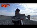 【紀州釣り】デカチヌ求めて沼津のサーフに挑む！【黒鯛釣り】【釣武者】