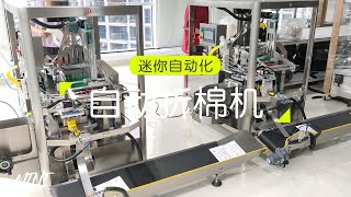 无纺布装袋机 面膜折叠罐装一体机Mask Machine For Facial Mask Folding And Bagging Facial Mask Folder Mask Packing