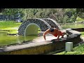 300 push up challenge in Toa Payoh Town Park