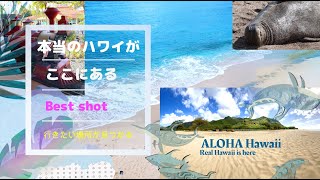 Hawaii（ハワイ）旅行【2020】まったり観光  オアフ島一周ドライブ Vol.３ BGM付き Hawaii Travel [2020]  Drive Around Oahu