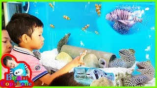 น้องบีม | ดูปลาไหลทะเล เที่ยวบึงฉวากสุพรรณบุรี Fish