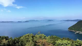 ミカンが実る頃  藍美代子