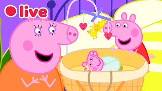 🔴 Peppa Wutz LIVE! BABY EVIE Episoden 🍼 Die Besten Momente von Evie 🥹 Cartoons für Kinder
