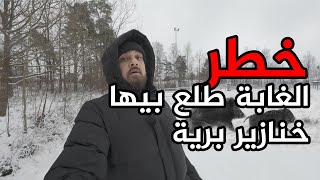 جولة في الغابة اثناء تساقط الثلج و صار شي ما توقعته