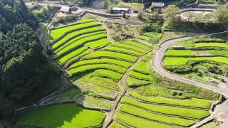 ❤️上代田棚田　【ドローン空撮】　絶景　　Mavic Air