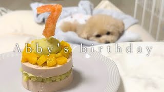 手術4日目の愛犬の誕生日をお祝いしたよ🎂