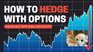 How to Hedge an Options Portfolio | Unusual Options Activity | Options Trading Strategy