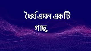 ধৈর্য এমন একটি গাছ,  যার সারা গায়ে কাটা  কিন্তু ফল অত্যন্ত মজাদার । - আল হাদিস