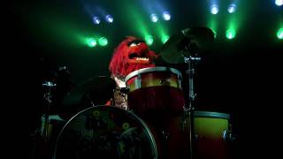 Bohemian Rhapsody  Muppet Music Video  The Muppets
