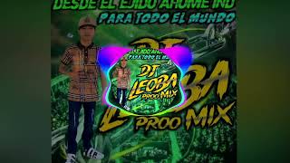 Dj Leoba Proo Mix - El Baile De Los Viejito Huapango Son 2024