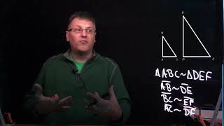 Similarity Statements