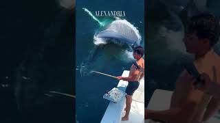 giant whale vs fisherman #shorts #virrals #trending #yearsofyou