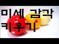 미세 감각 키우기 _ 세리시범 _ 2018.04.16 재편집 streamed by obs with auto sequence switcher