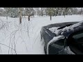 volvo v70 xc awd cross country in the deep snow