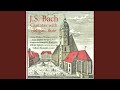 Ich habe genug, BWV 82: I. Aria: Ich habe genug