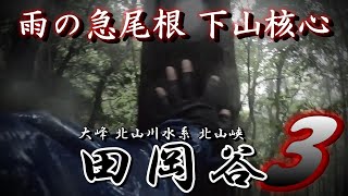 大峰 田岡谷 【雨の急尾根　下山核心】