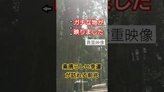 【希少映像】必ずご視聴下さい!!貴方の今後を大きく左右する流れがきて次々と幸せが訪れます✨ #波動 #tiktok #スピリチュアル #shorts #引き寄せ #金運 #dragon