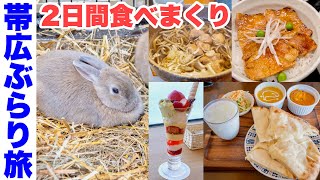 【北海道 十勝帯広ぶらり旅】ぶた丼・パフェ・かしわ蕎麦・チーズナン・インドカレーなど食べまくりのひとり旅。帯広動物園のモフモフ達に癒された【十勝に住む なかむーの週末Part7】