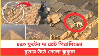 ৪৫০ ফুট উপরে গ্রেট পিরামিডের চূড়ায় কুকুর!