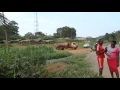 bridge work along kumba to mamfe road.