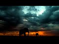 African Drums djembe, dunumba, instrumental 10 hours