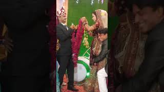 Jaimala Funny Moment shorts video#lovemarriage #shadi