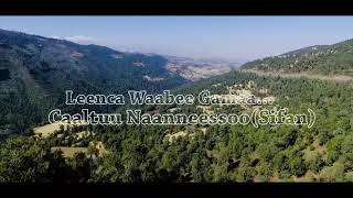 YouTube   Caaltuu Naannessoo: Leenca Waabee Gamaa New Oromo Music 2018