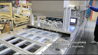 Continuous MAP Modified Atmosphere Packaging Machine