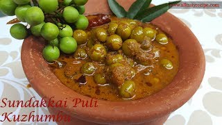 பச்சை சுண்டக்காய் புளிக்குழம்பு | PACHAI SUNDAKKAI PULI KUZHAMBU |TURKEY BERRY RECIPE-VILLAGE STYLE